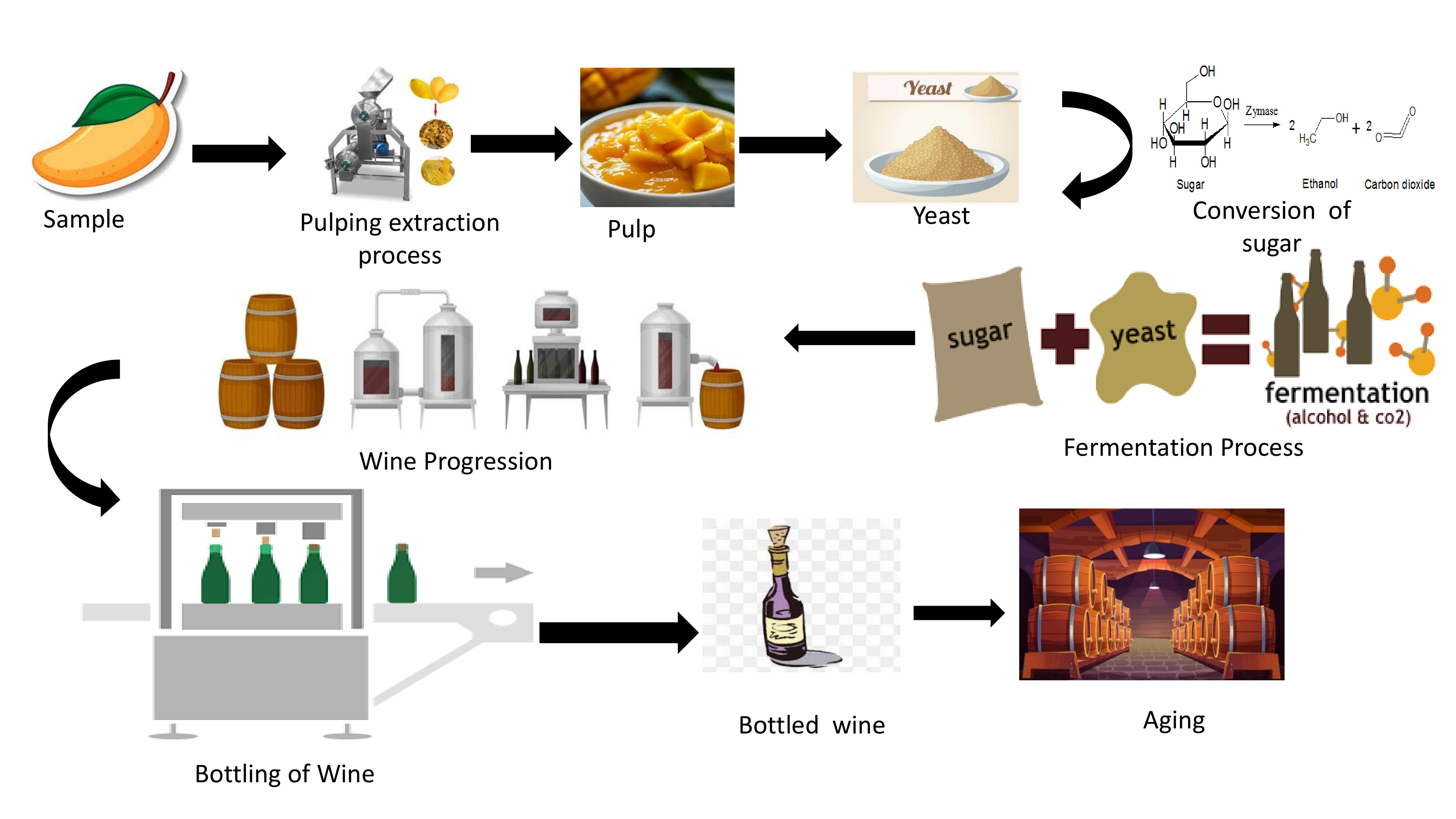 Graphical abstract